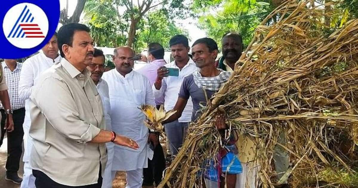 Karnataka Rains: ಬೆಳೆ, ಮನೆ ಹಾನಿ ಕುಟುಂಬಗಳಿಗೆ ಪರಿಹಾರ: ಸಚಿವ ಸಿ.ಸಿ.ಪಾಟೀಲ