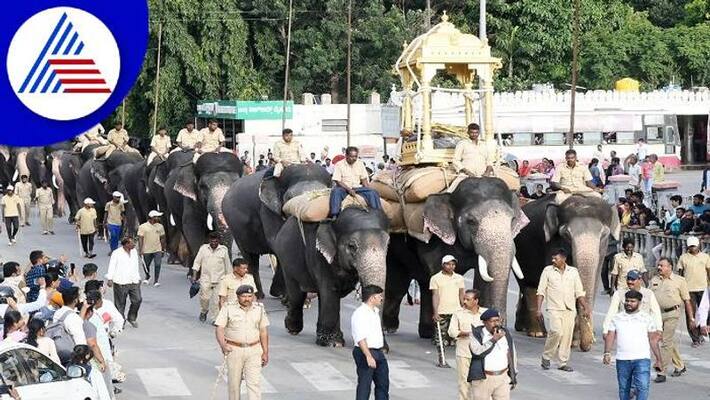 Dasara Elephant Abhimanyu gained 550 kg weight snr Dasara Elephant Abhimanyu gained 550 kg weight snr