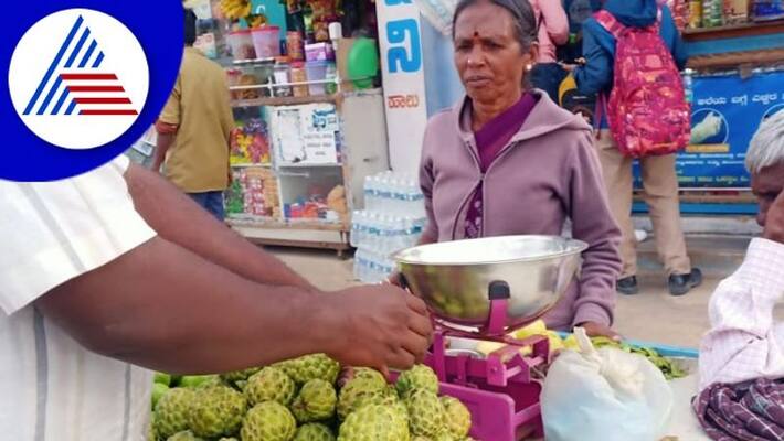 A bumper crop of custard apple in heavy rains A bumper crop of custard apple in heavy rains