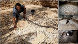 Ornate Byzantine floor mosaic discovered in gaza strip 