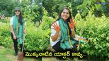 Gangotri movie child artist kavya participated green india challenge