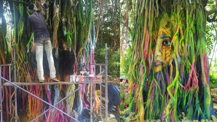 garden and seating area has been prepared around the banyan tree Perinthalmanna Palakkad Road garden and seating area has been prepared around the banyan tree Perinthalmanna Palakkad Road