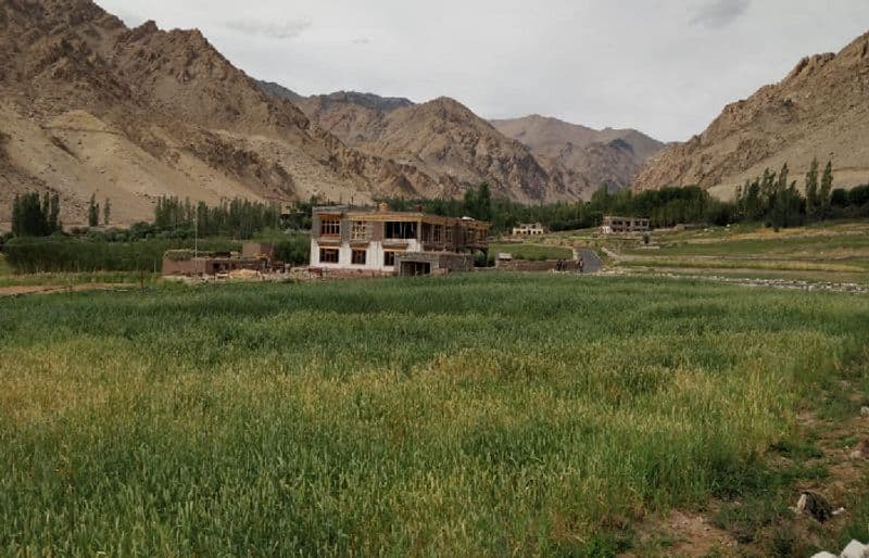 Ladakh Amrita Yatra-2022 Part-12: Breathtaking Beauty Of Leh Vin