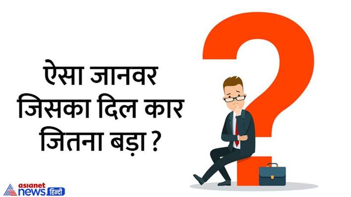 UPSC ias ips Interview Tricky Questions answers civil services exam stb UPSC ias ips Interview Tricky Questions answers civil services exam stb