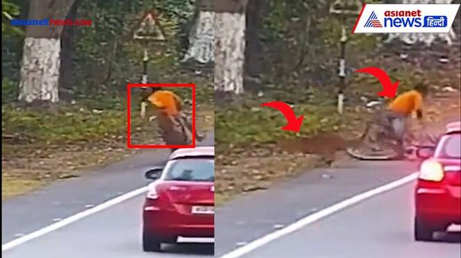 shocking video Leopard attacked a man going on a bicycle KPZ