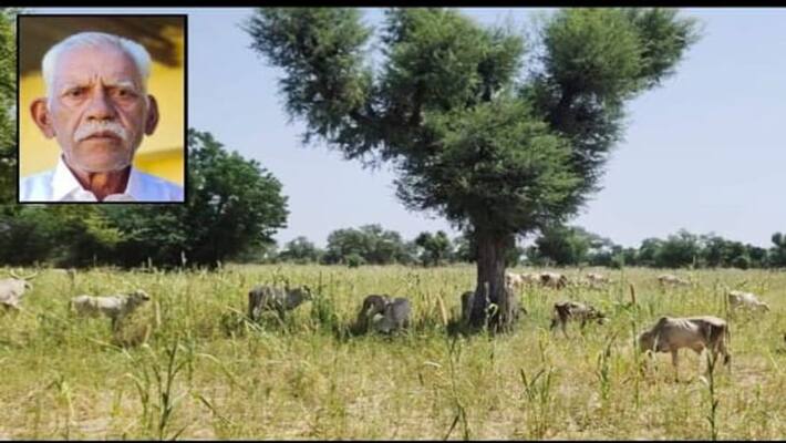 Barmer news farmer donated crop and money for lumpy virus affected cows asc Barmer news farmer donated crop and money for lumpy virus affected cows asc