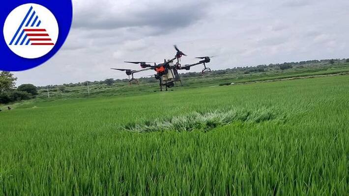 Drone Sprays Pesticide on Paddy Crop in 2.5 Minutes in Yadgir grg Drone Sprays Pesticide on Paddy Crop in 2.5 Minutes in Yadgir grg