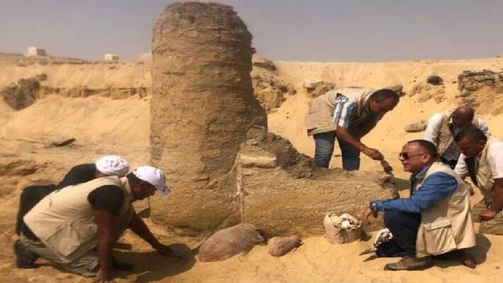 2600 year old cheese found 2600 year old cheese found