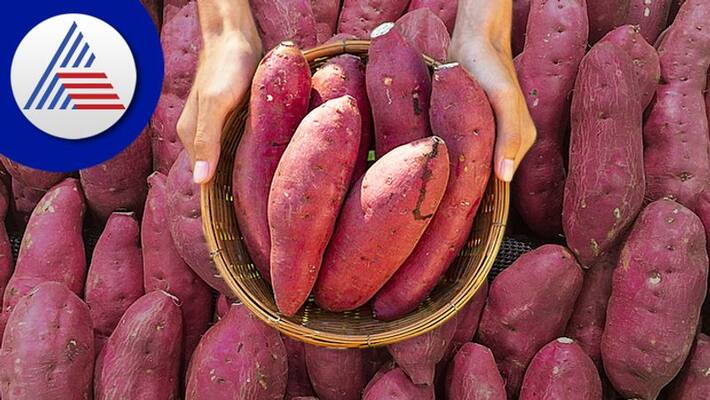 unknown benefits of sweet potato unknown benefits of sweet potato