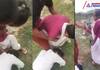 uttar pradesh news Girl molested in Prayagraj video went viral KPZ