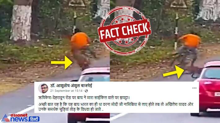 fact check of viral claim of tiger attacking cyclist on Rishikesh Dehradun road in Uttarakhand KPI fact check of viral claim of tiger attacking cyclist on Rishikesh Dehradun road in Uttarakhand KPI