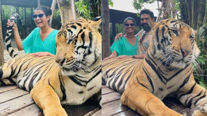 amritha suresh gopi sundar instagram viral photo pattaya diaries amritha suresh gopi sundar instagram viral photo pattaya diaries