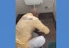 Madhya Pradesh: BJP MP cleans toilet with bare hands goes viral