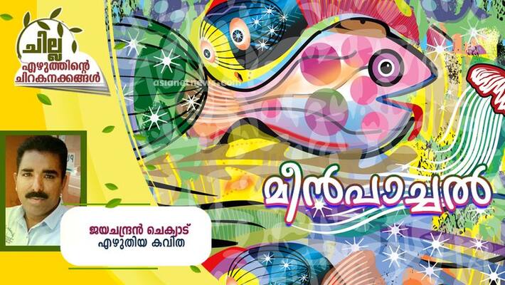 chilla malayalam poem by jayachandran Chekyad chilla malayalam poem by jayachandran Chekyad