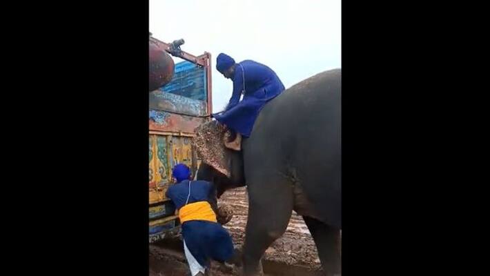 Elephant pulled the truck stuck in the mud video clip goes viral in social media Elephant pulled the truck stuck in the mud video clip goes viral in social media