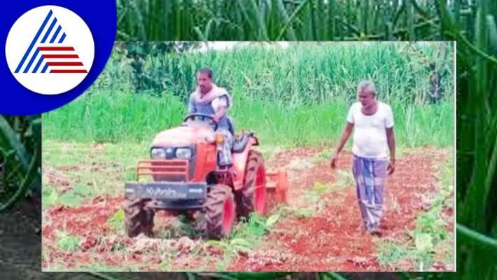 Onion price decline; A farmer who destroyed 5 acres of richly grown onions koppal rav Onion price decline; A farmer who destroyed 5 acres of richly grown onions koppal rav