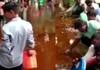 rajasthan news 6 tonnes of mustard oil washed away on the road in Bharatpur see video KPZ