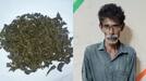 Excise team arrested a middle aged man with Cannabis from a lodge in Meppadi