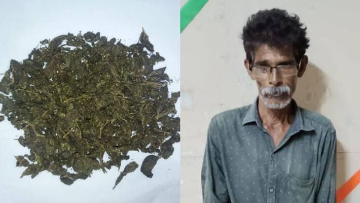 Excise team arrested a middle aged man with Cannabis from a lodge in Meppadi Excise team arrested a middle aged man with Cannabis from a lodge in Meppadi