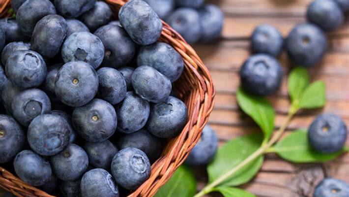 Health Benefits of Blueberries Health Benefits of Blueberries