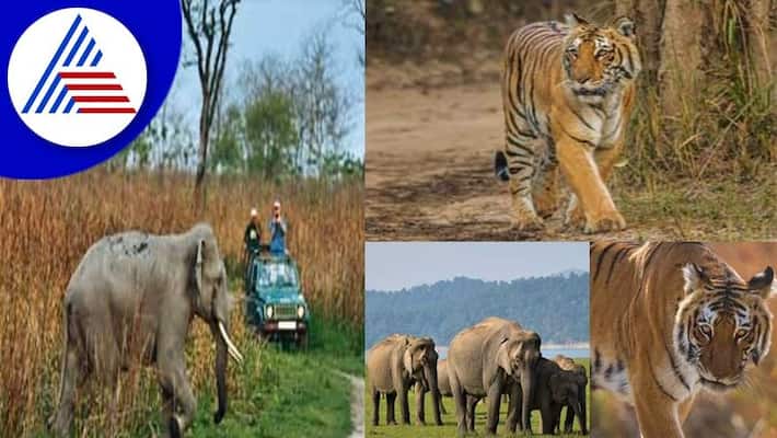 Best Places To Visit With Family In October Best Places To Visit With Family In October