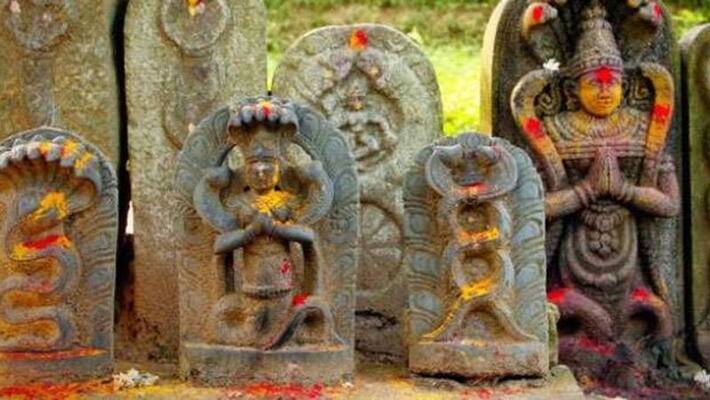 What causes Sarpa Dosha? What is the remedy for that? What causes Sarpa Dosha? What is the remedy for that?