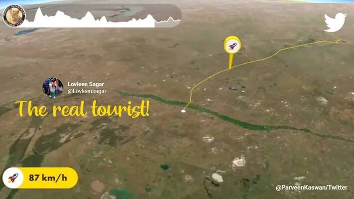 IFS officer shares video of migratory birds travel IFS officer shares video of migratory birds travel