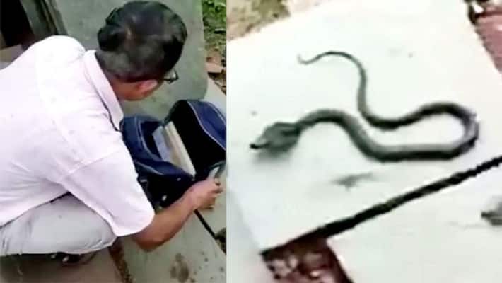 cobra was sitting in the girl school bag in Badoni Village Shajapur kpg cobra was sitting in the girl school bag in Badoni Village Shajapur kpg