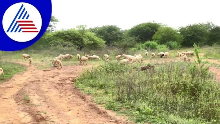 Still no water in Kolara amani lake gow Still no water in Kolara amani lake gow
