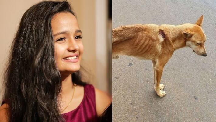 actress meenakshi share post about stray dogs actress meenakshi share post about stray dogs