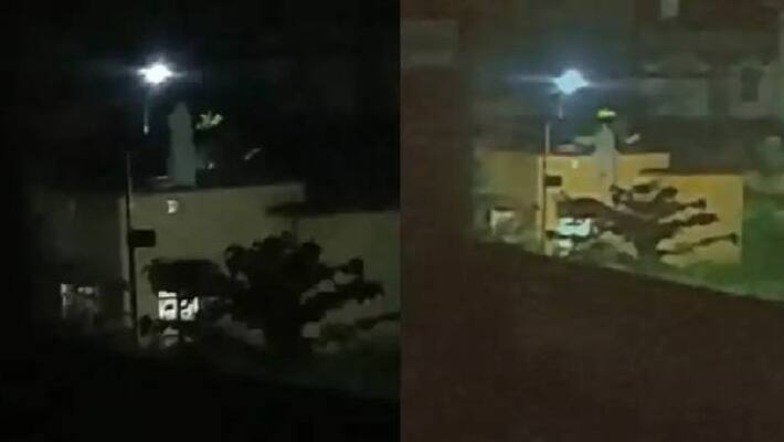 thing like ghost in terrace creates panic thing like ghost in terrace creates panic