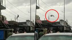 Man performs a dangerous stunt on an electric pole, video from Uttar Pradesh goes viral - gps