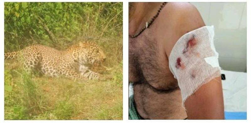 A forest department officer who went to rescue a leopard caught in an electric wire in Theni was bitten
