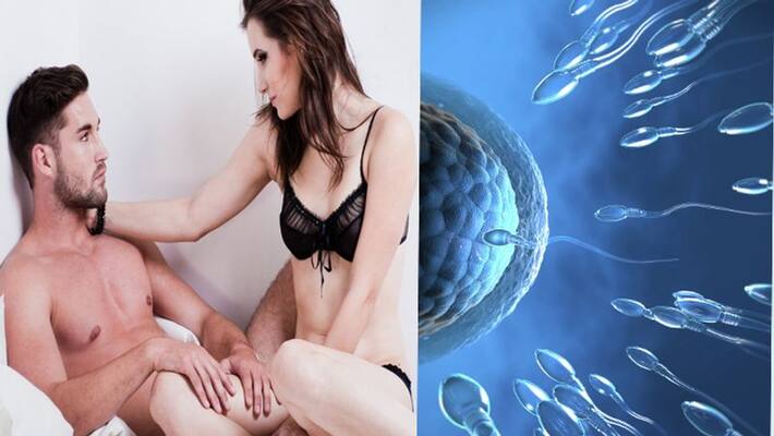 pregnancy theory men sperm move in group latest study revealed NTP pregnancy theory men sperm move in group latest study revealed NTP