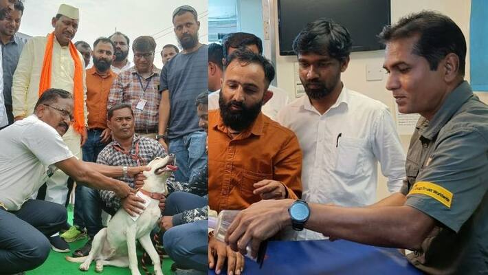 Give pet dogs rabies vaccine without fail: Minister Prabhu Chavan akb Give pet dogs rabies vaccine without fail: Minister Prabhu Chavan akb
