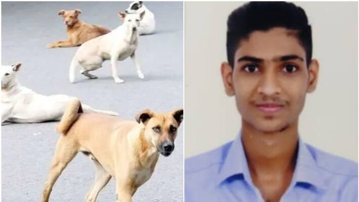 stray dog attack, plus two student need treatment money help stray dog attack, plus two student need treatment money help