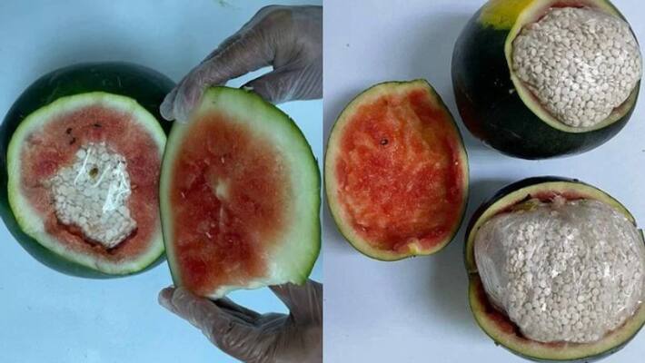 amphetamine tablets hidden in watermelons seized in saudi amphetamine tablets hidden in watermelons seized in saudi