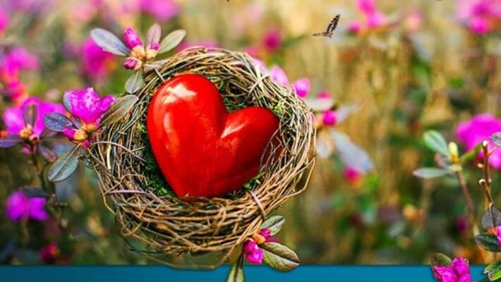 Today World Heart Day 2022 know things to keep heart healthy Today World Heart Day 2022 know things to keep heart healthy