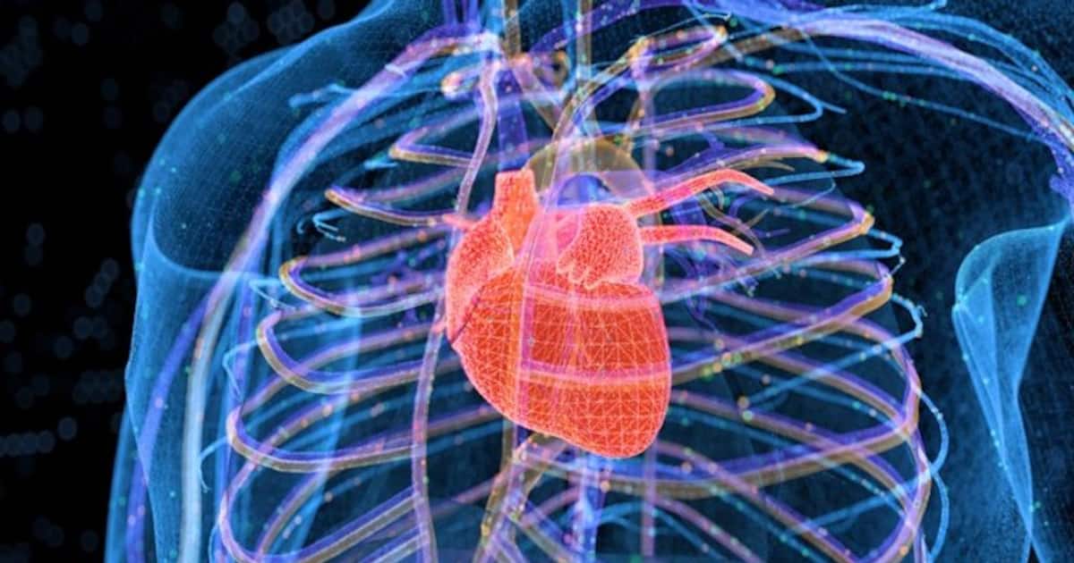Study reveals how COVID damages the heart; may lead to better treatments