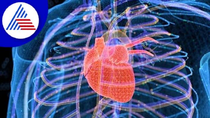 These Nine Tests Can Help Diagnose Heart Problems Vin These Nine Tests Can Help Diagnose Heart Problems Vin