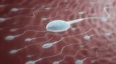 study found that sperm count in men has a connection with cancer