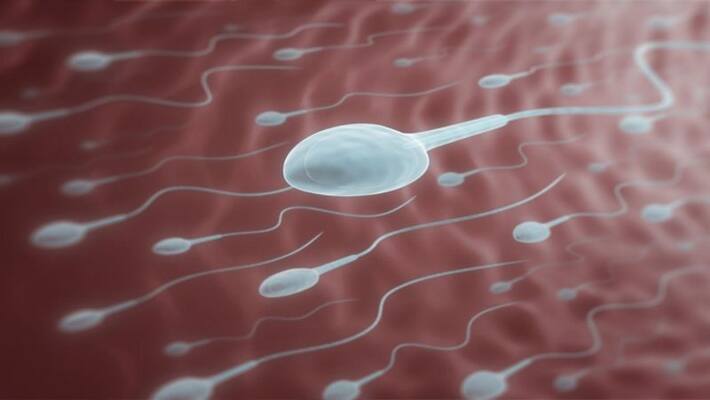 covid infection may impact semen quality in men aiims study covid infection may impact semen quality in men aiims study