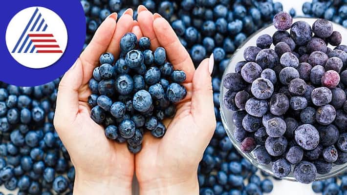 Health Benefits of blue berry that keep you fit always Health Benefits of blue berry that keep you fit always