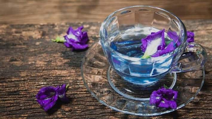Drink Conch Flower Tea: Enjoy the Health Benefits! Drink Conch Flower Tea: Enjoy the Health Benefits!