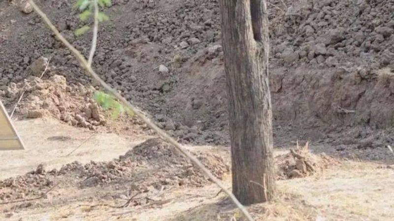 Can you spot a leopard in this photograph 