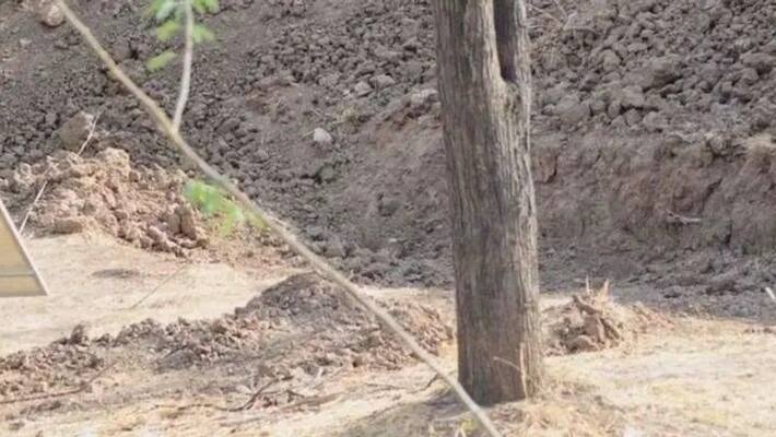 Can you spot a leopard in this photograph Can you spot a leopard in this photograph