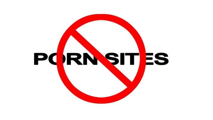 MeitY orders internet companies to block 67 porn websites MeitY orders internet companies to block 67 porn websites