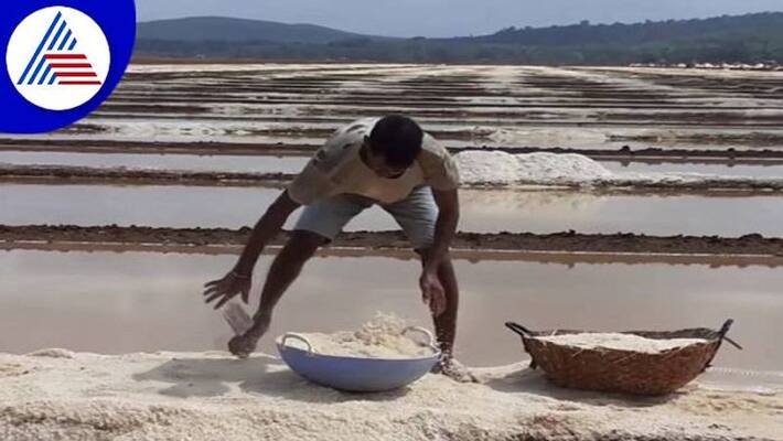 Decreased Salt Production Due to Weather Extremes in Uttara Kannada grg Decreased Salt Production Due to Weather Extremes in Uttara Kannada grg