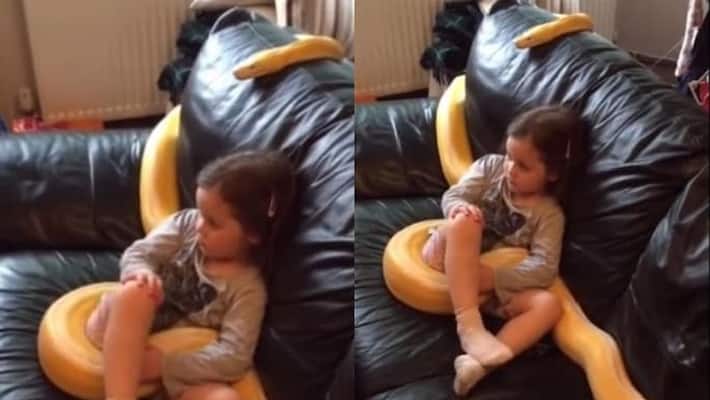 Girl watches TV with her 12 foot long pet python Girl watches TV with her 12 foot long pet python