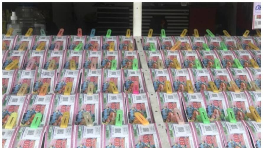 sthree-sakthi-ss-350-lottery-draw-today-31-1-2023 sthree-sakthi-ss-350-lottery-draw-today-31-1-2023
